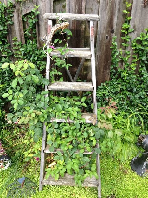 Tall Unwanted Ladder Makes Super Trellis Trellis Ladder Decor Decor