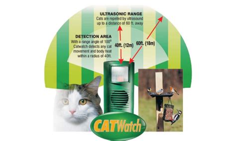Browse ads from catteries around the world. Cat Watch | Ultrasonic Deterrent | Repels Cats | BUY ONLINE