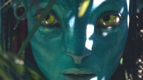 Neytiri Avatar The Way Of Water Wallpaper Hd Movies 4k Wallpapers