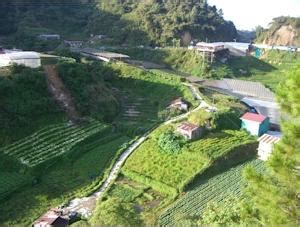 Cameron highlands is connected by three trunk roads. A Better Route to Cameron Highlands | ThingsAsian