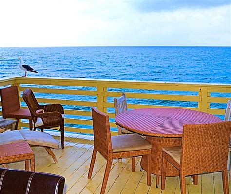 Malibu Beach House Patio View With Sea Gull Photograph By Tommi Trudeau