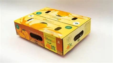 Kraft Paper Corrugated Boxes For Mango Export For Food At Best Price