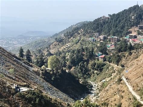 Elevation Of Mcleod Ganj Dharamshala Himachal Pradesh India