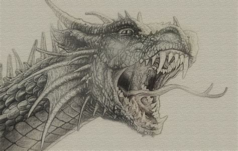 Free 21+ realistic dragon drawings in ai. dragon drawing - Google Search | art | Pinterest ...
