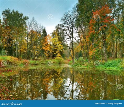 Autumn Park With The Pond Stock Image Image Of Forest 6548715