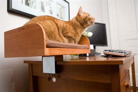 Kit In Box Desktop Cat Bed The Green Head
