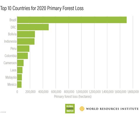 What Happened To Global Forests In 2020 Global Forest Watch Blog