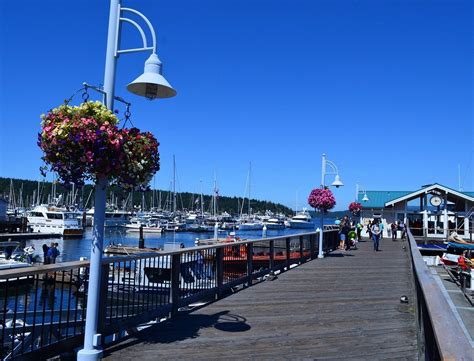 The 10 Best Things To Do In Friday Harbor 2021 With Photos