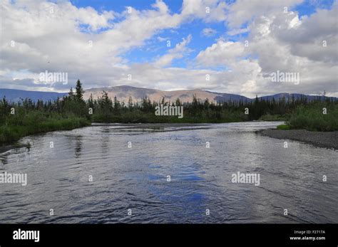 Siberia Taiga River Hi Res Stock Photography And Images Alamy