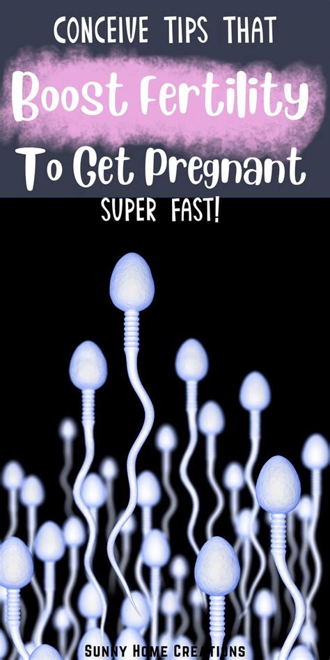 ways to boost fertility and get pregnant faster artofit