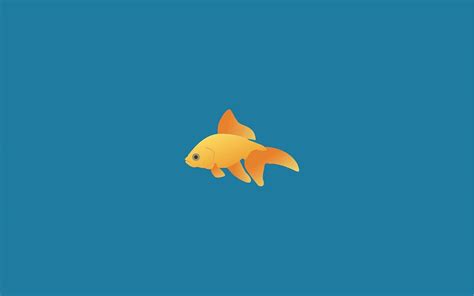 Aesthetic Fish Wallpapers Top Free Aesthetic Fish Backgrounds