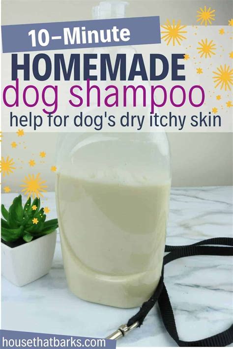 10 Minute Oatmeal Dog Shampoo For Dry Itchy Skin House That Barks