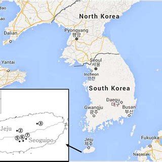 Jeju travel forum jeju pictures jeju map jeju guide. Map of the Korean Peninsula with collecting localities on Jeju Island. | Download Scientific Diagram