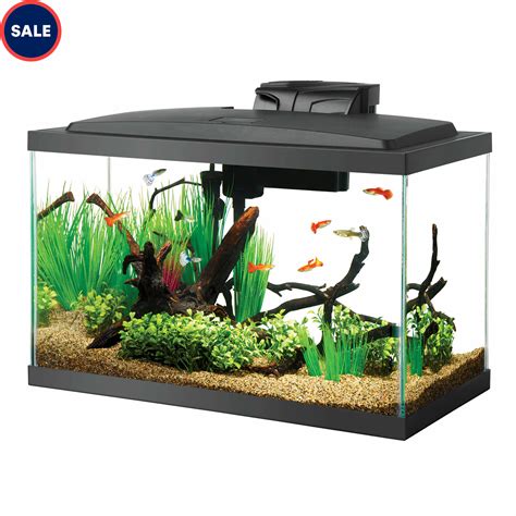 Aqueon Standard Glass Aquarium Tank 29 Gallon Aquarium Pet Store Near