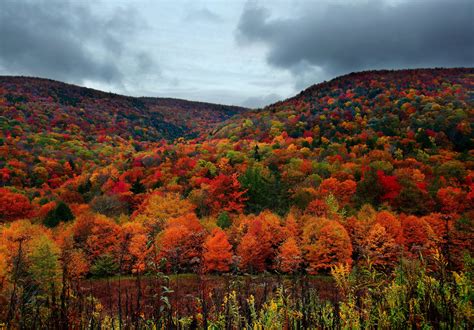 Fotos Von Usa Virginia Natur Herbst Gebirge Jahreszeiten 2293x1600