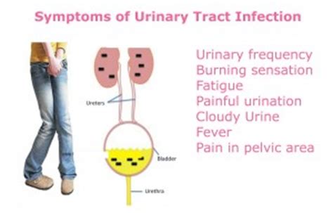 Learn the causes of blood in urine and when the symptom may indicate a uti. All You Need to Know About Urinary Tract Infection ...