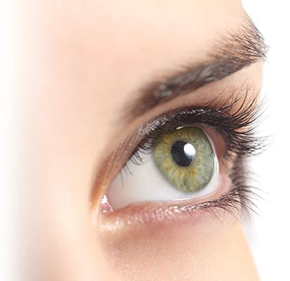 Dermaced | Eyelash growth serum, Eyelash growth, Eyelashes