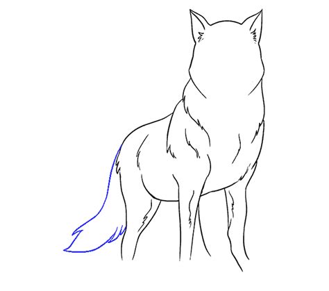 Wolf Ears Drawing Easy