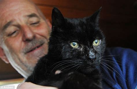 Mimpi kucing melompat atas badan. (GAMBAR)Kucing Yang Kembali Pada Tuannya Selepas Enam Tahun