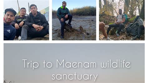 Trip To Maenam Wildlife Sanctuary Bhaledhunga Trekking Youtube