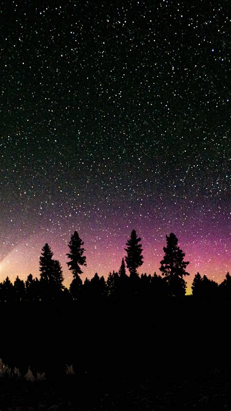 Download Wallpaper 1440x2560 Trees Silhouette Starry Sky Stars