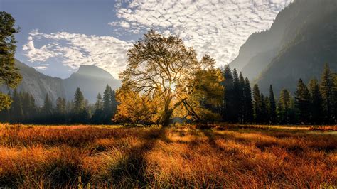 California Meadow Mountain With Trees During Sunrise Hd Nature