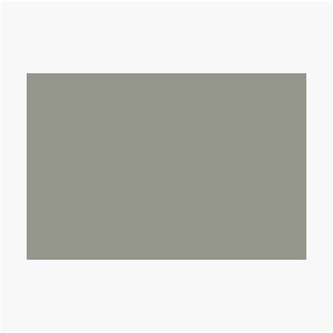 Grayish Green Solid Color 2022 Color Of The Year Evergreen Fog Sw 9130