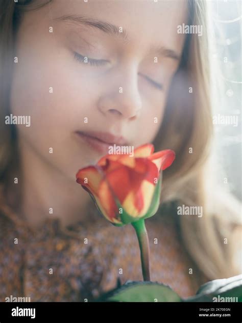 Young Girl Smelling Red Rose Stock Photo Alamy
