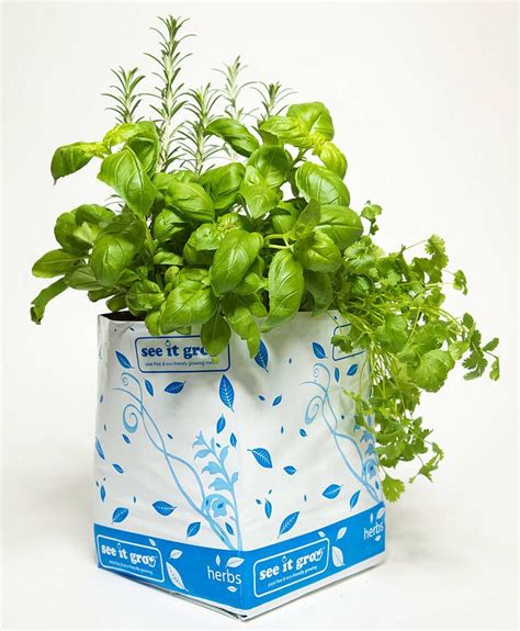 Mini Herb Grow Bag Grow Bags Unique Ts Ts