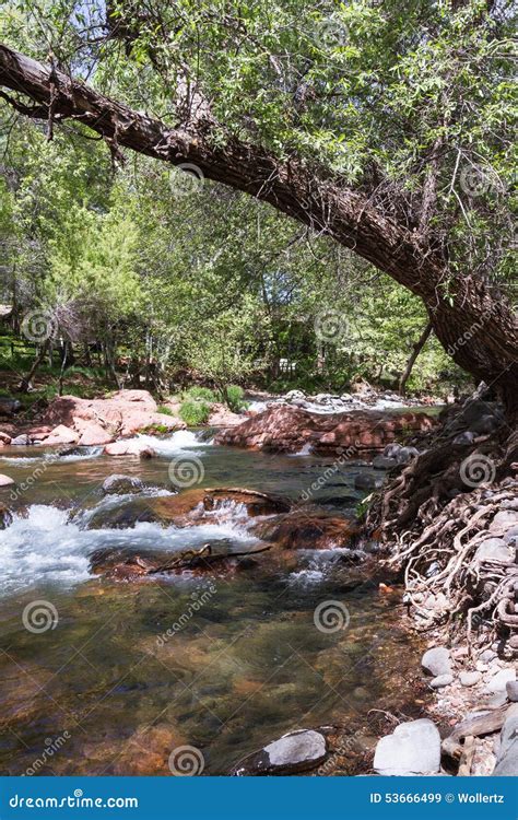 Pristine River Stock Image Image Of Outdoor Beauty 53666499