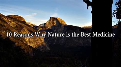10 Reasons Why Nature Is The Best Medicine Youtube