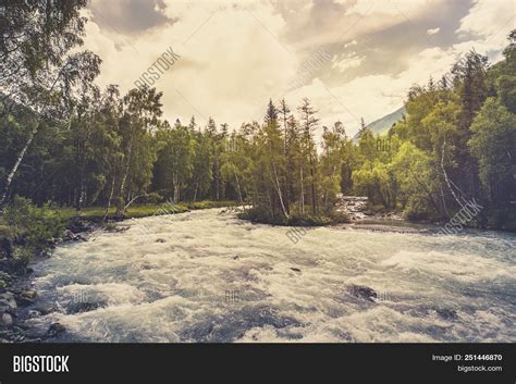 Beautiful River Forest Image And Photo Free Trial Bigstock