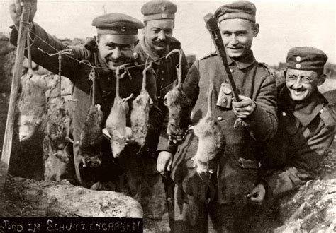 Vintage Trench Rats Killed By Terriers During World War I Monovisions Black And White