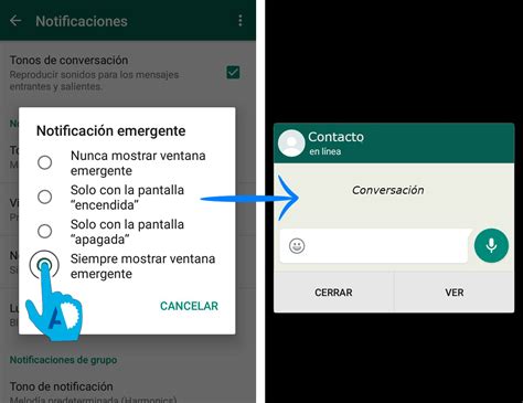 ¿cómo Eliminar El Doble Check En Whatsapp
