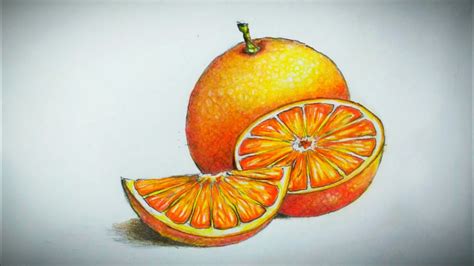 How To Draw Orange Pencil Coloring Tutorial Freehand Drawing Youtube