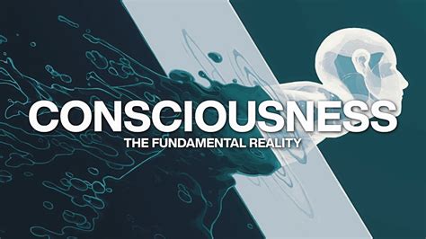 Consciousness The Fundamental Reality Youtube