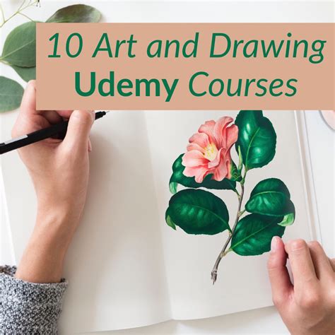 Best Udemy Courses Online For Art And Drawing Couponcause Com
