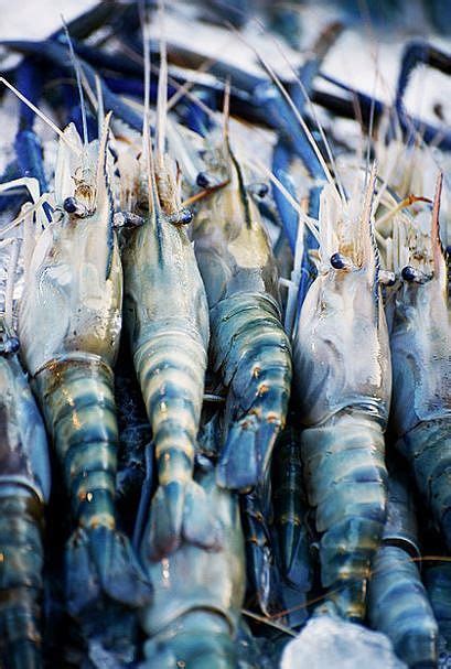 Local service in bangkok, thailand. Bangkok | Thailand, Bangkok, Shrimp