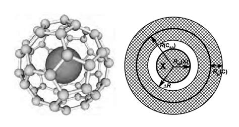 An Endohedral Fullerene Xc60 And Cross Section Of The Endohedral