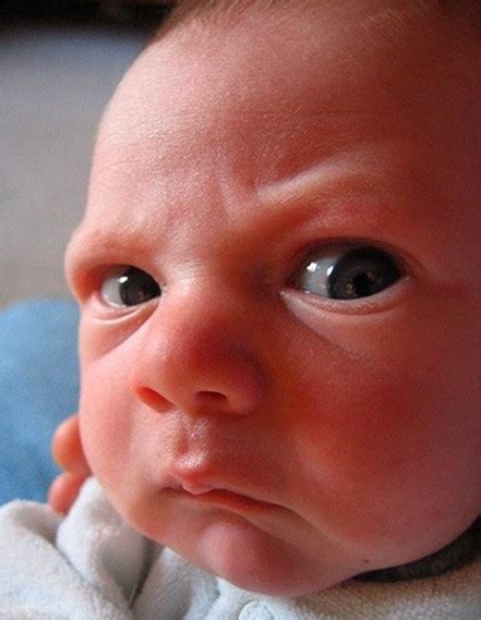 Angry Baby Face Funny Pics