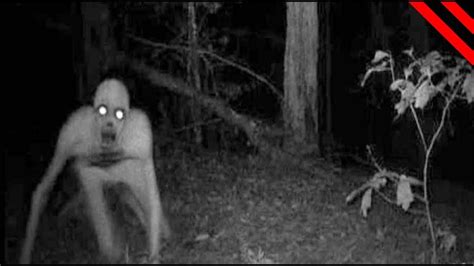 20 Scariest Creatures Caught On Tape Youtube Otosection