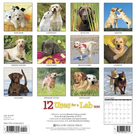 Labrador Calendars 2016 Black Yellow And Chocolate Labs