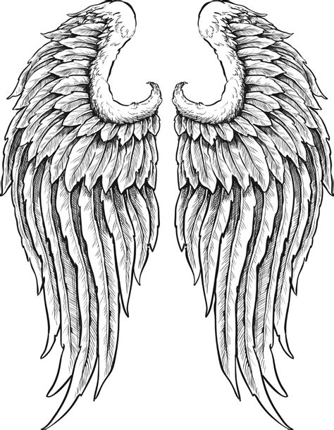 Angels Wings Drawing At Getdrawings Free Download