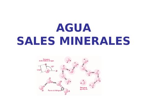 Agua Y Sales Minerales Apuntes De Bioquímica Docsity