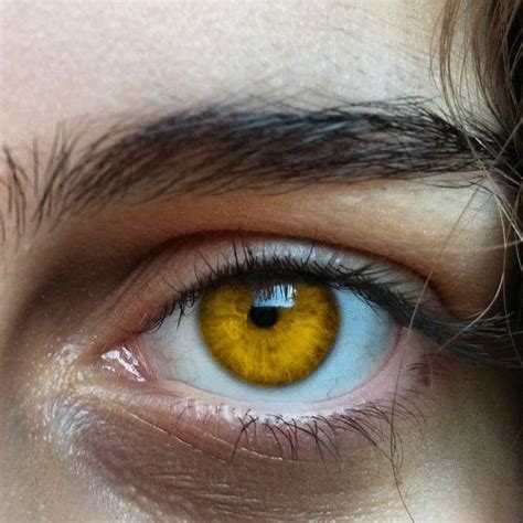 Yellow Eyes Eye Photography Aesthetic Eyes Gorgeous Eyes