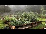 Pictures of Benefit Of Raised Bed Vegetable Garden