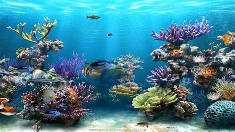 Анимированные обои морской аквариум на рабочий стол скачать бесплатно