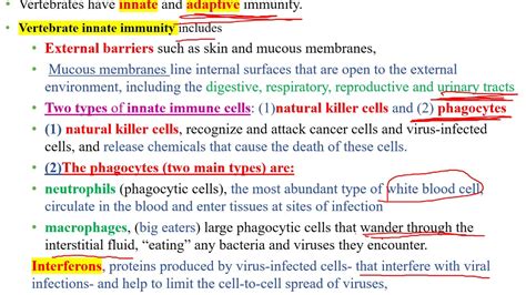 Immune System Part One Youtube