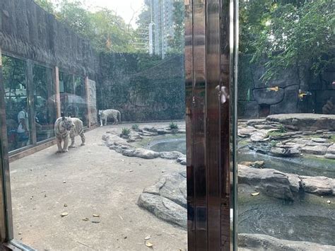 Zoo and Botanical Gardens (Ho Chi Minh City) - 2020 All You Need to