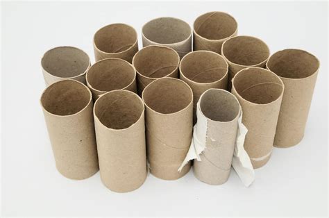 Toilet Paper Tube Crafts For Adults Single Girl S DIY